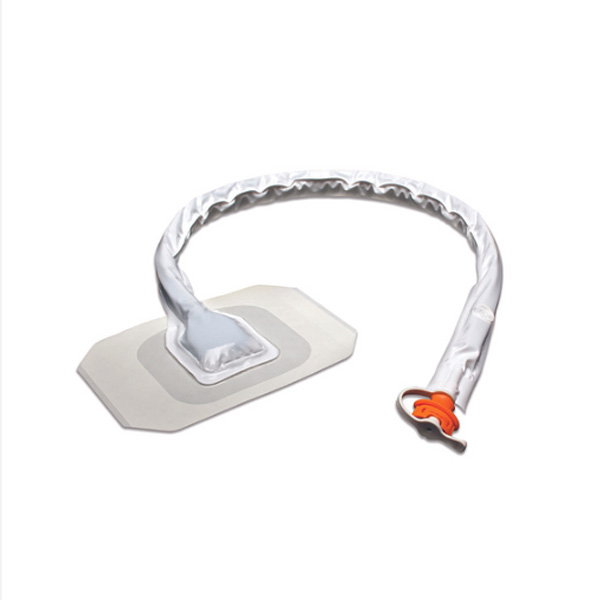 Stand-Alone Device Port Renasys